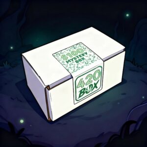 THE 420 BOX mystery box filled with smoke shop smoking accessories.